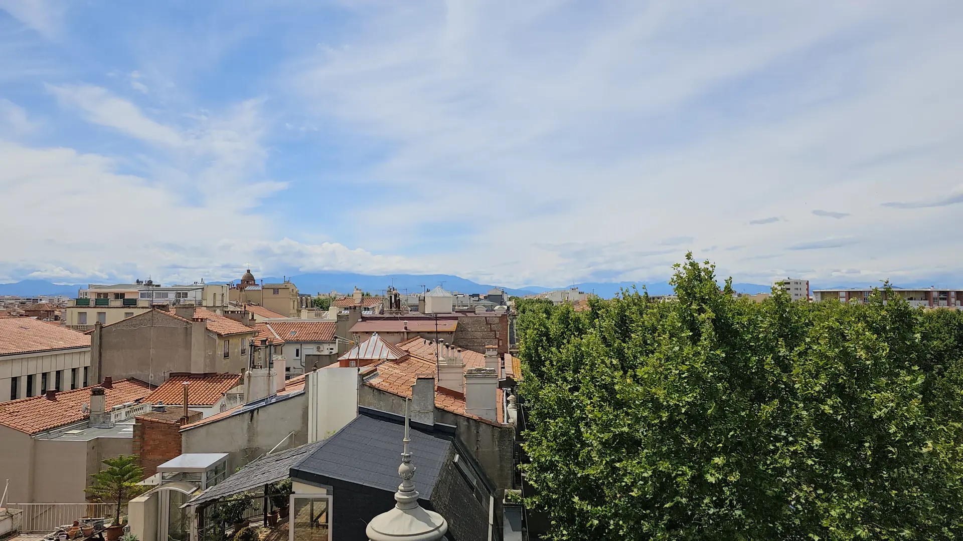 WhatsApp Image 2025-07-24 at 16.04.54