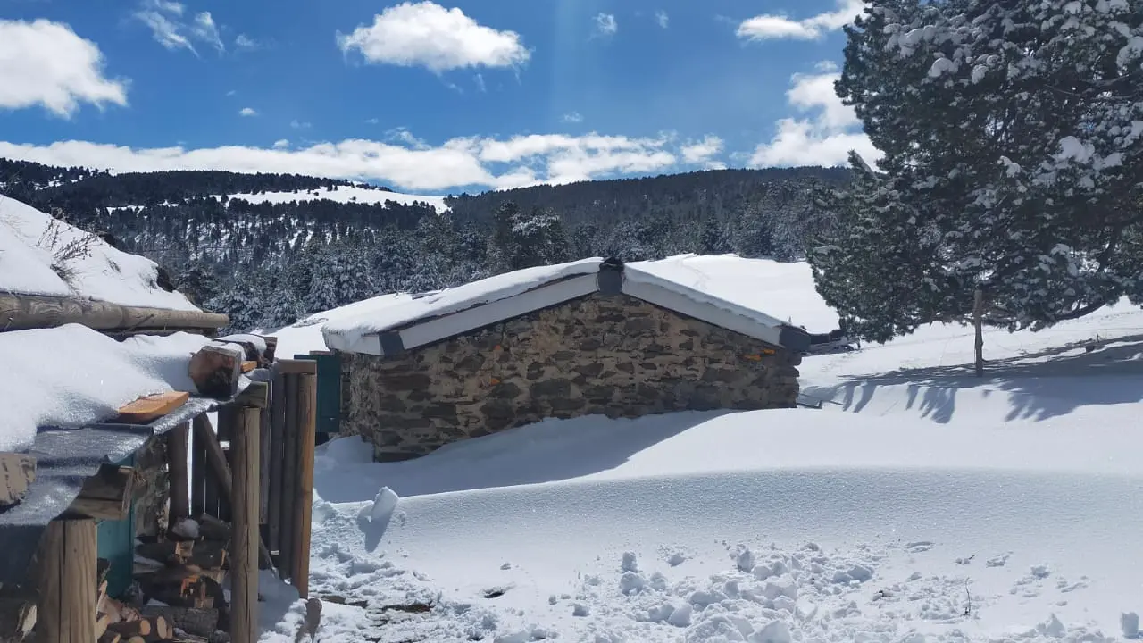 WhatsApp Image 2025-09-29 at 17.30.19(1)