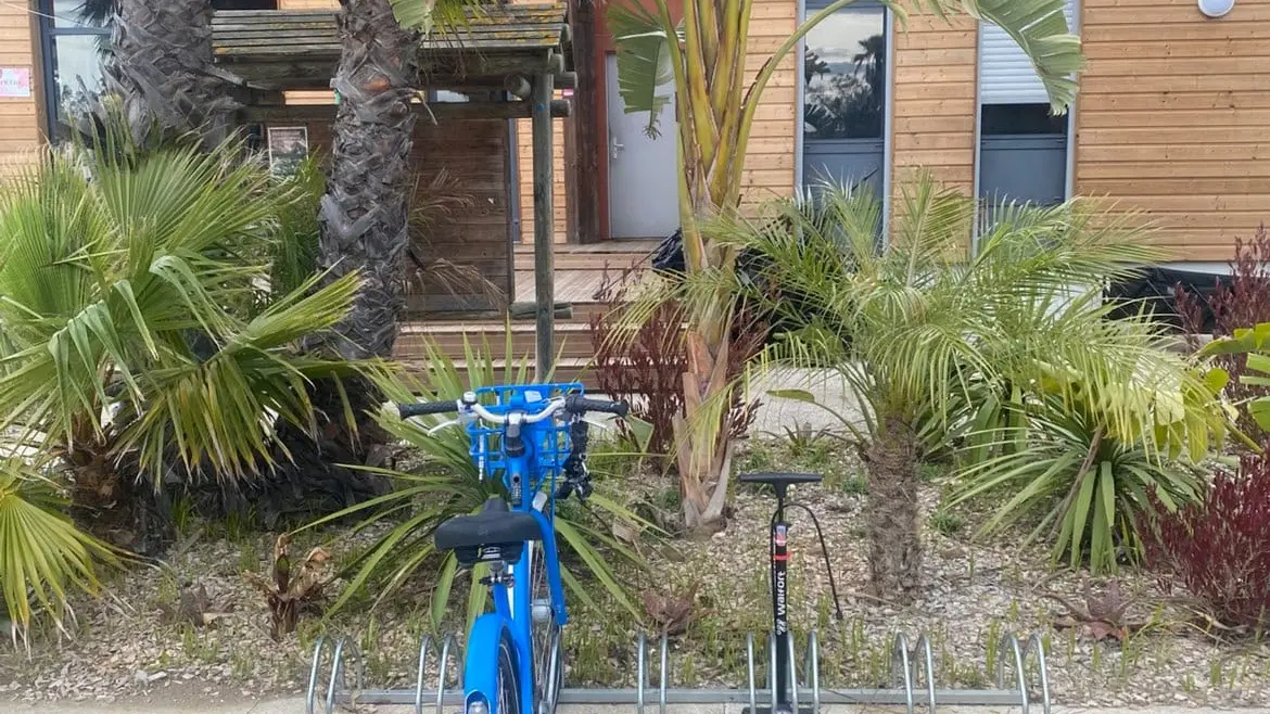 WhatsApp Image 2026-02-13 at 12.27.00