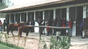 Bages Equitation