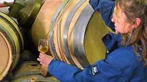 Domaine le Casot des Mailloles