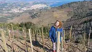 Domaine le Casot des Mailloles