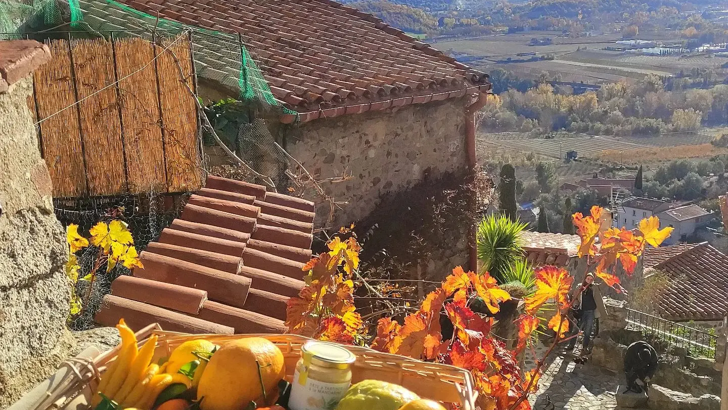 agrumes schaller bachès 3