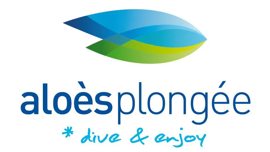 ALOES PLONGEE CERBERE