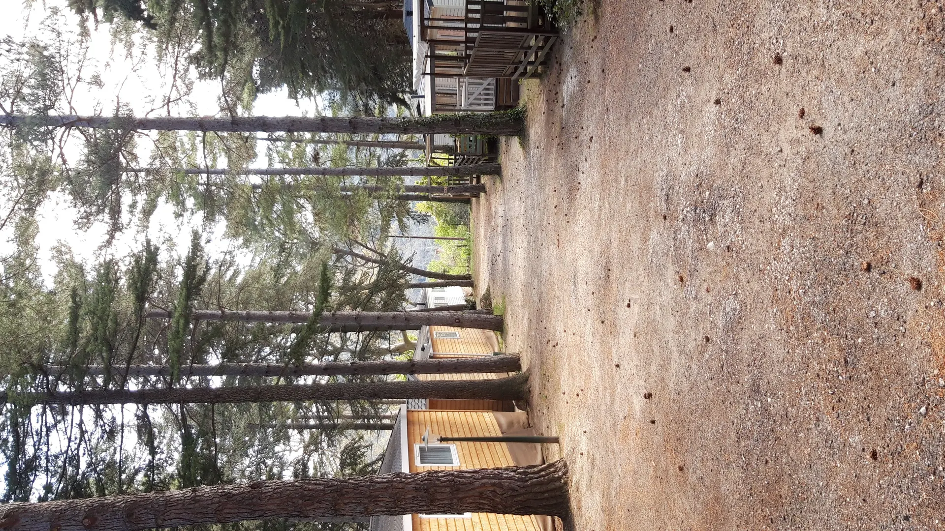 allée camping - camping la source - sournia - Sandrine DELACOURT