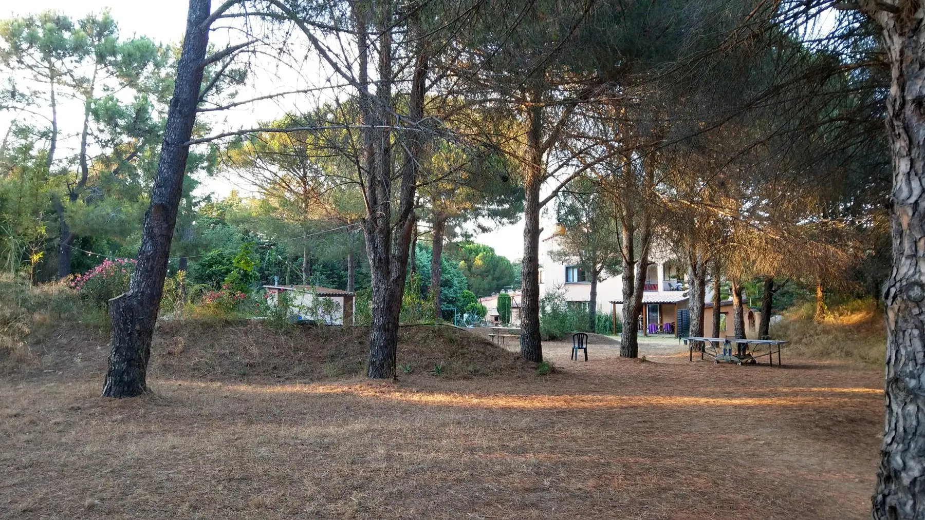 allocigale_parc_piscine_vers_gde_maison_1800