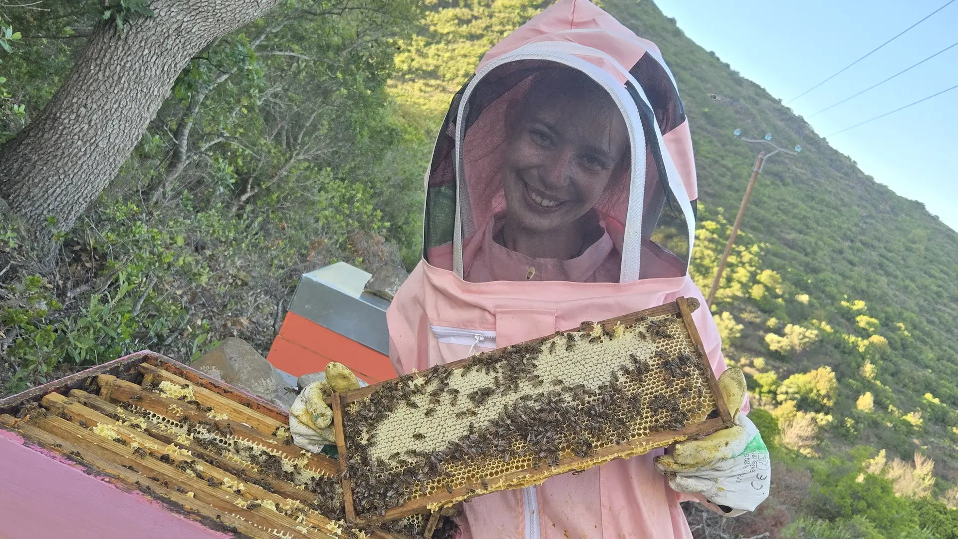 apicultrice avec cadre miel