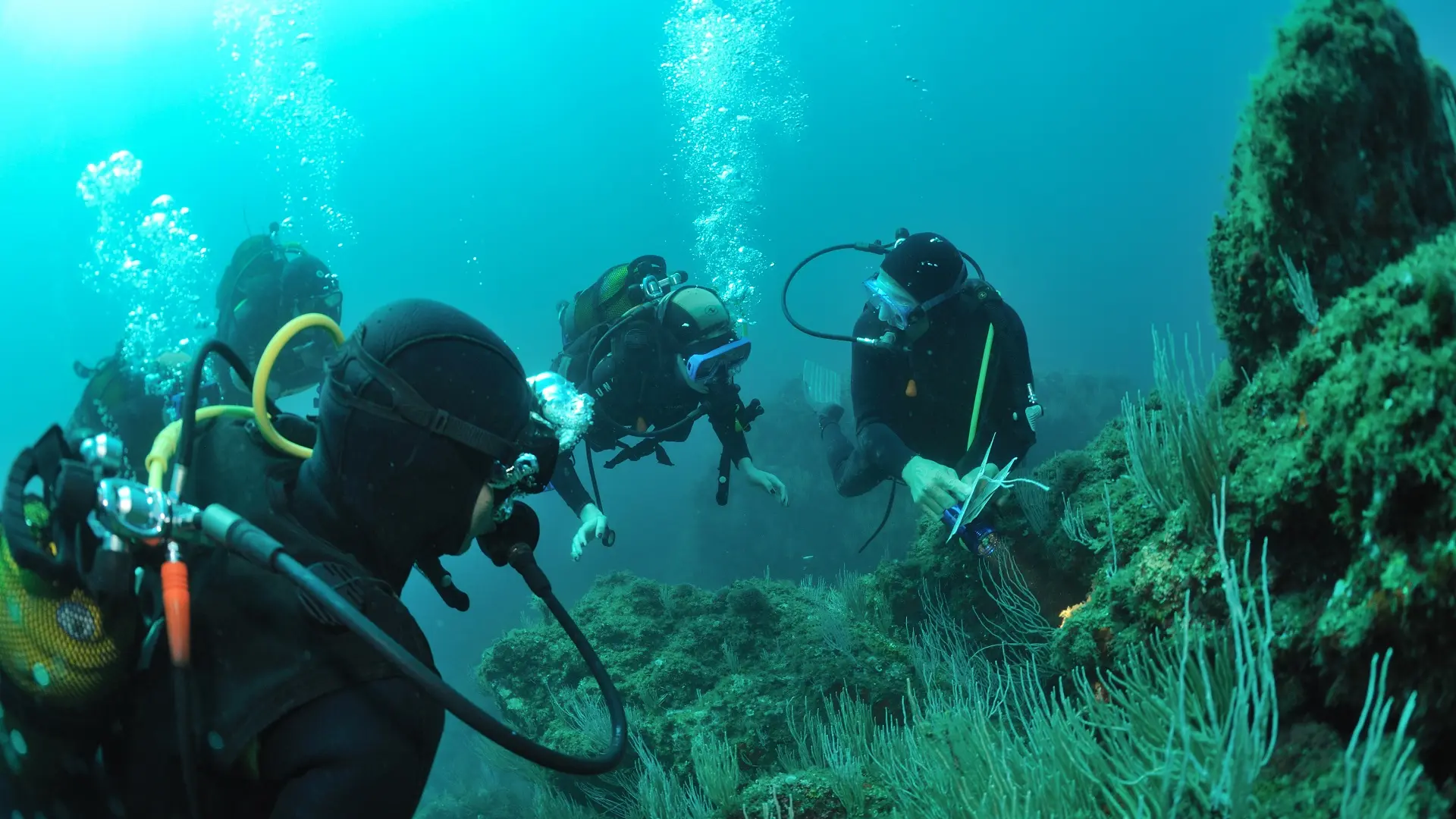 aquaplanet saint cyprien 03 1920px