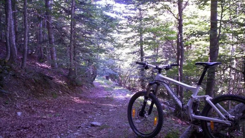 Descente dans le hêtraie_2