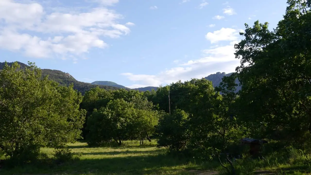 bataillon 2