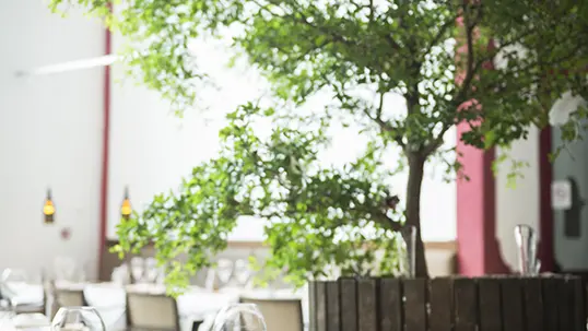 belesta restaurant la cooperative