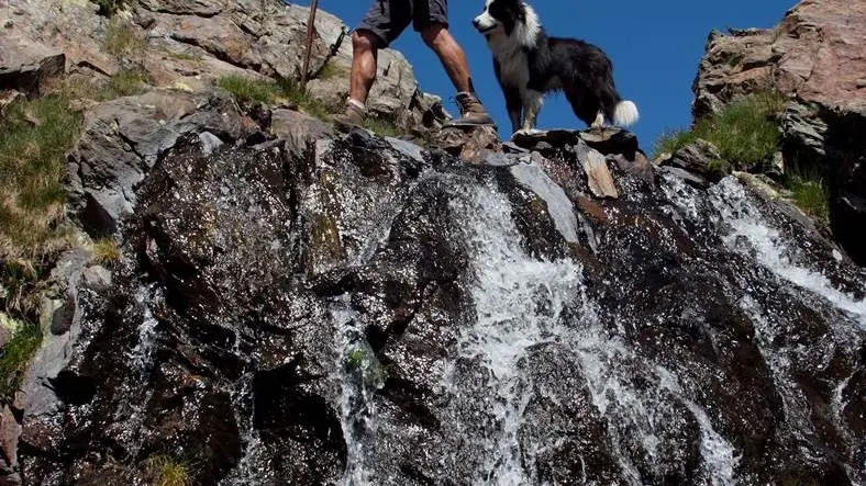 bonhoure jean louis 1