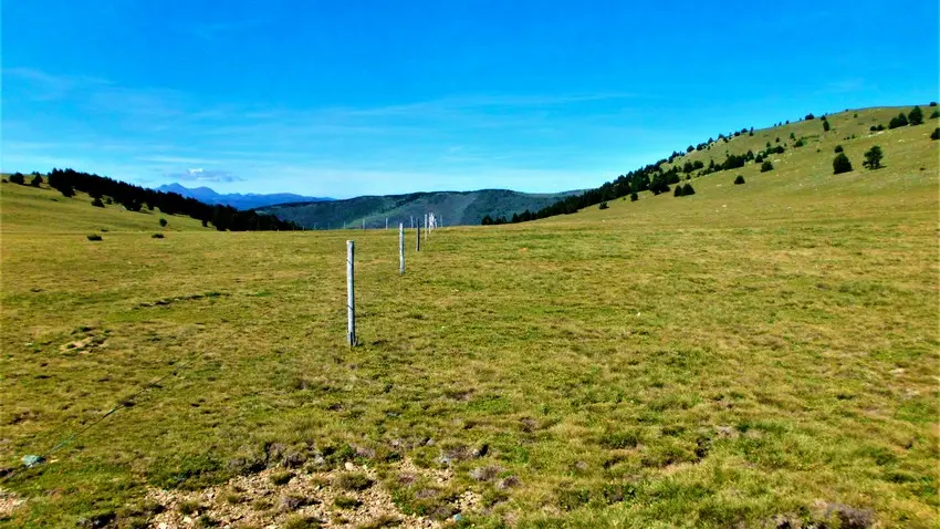 Pla de les Salines_1