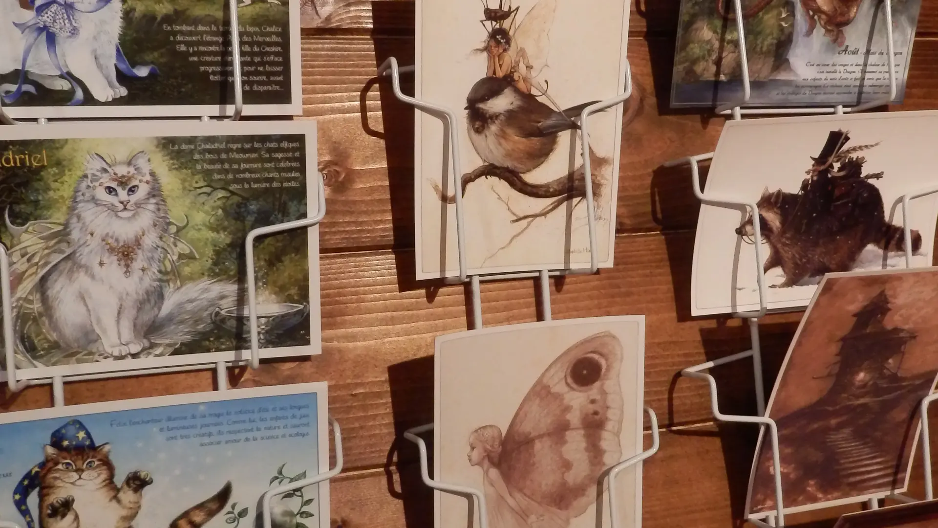 boutique-cartes-postales-feerie-parc-fantassia-66