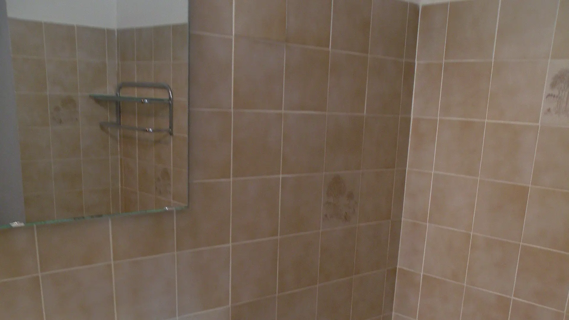 bourgues olivier GT8 (7)