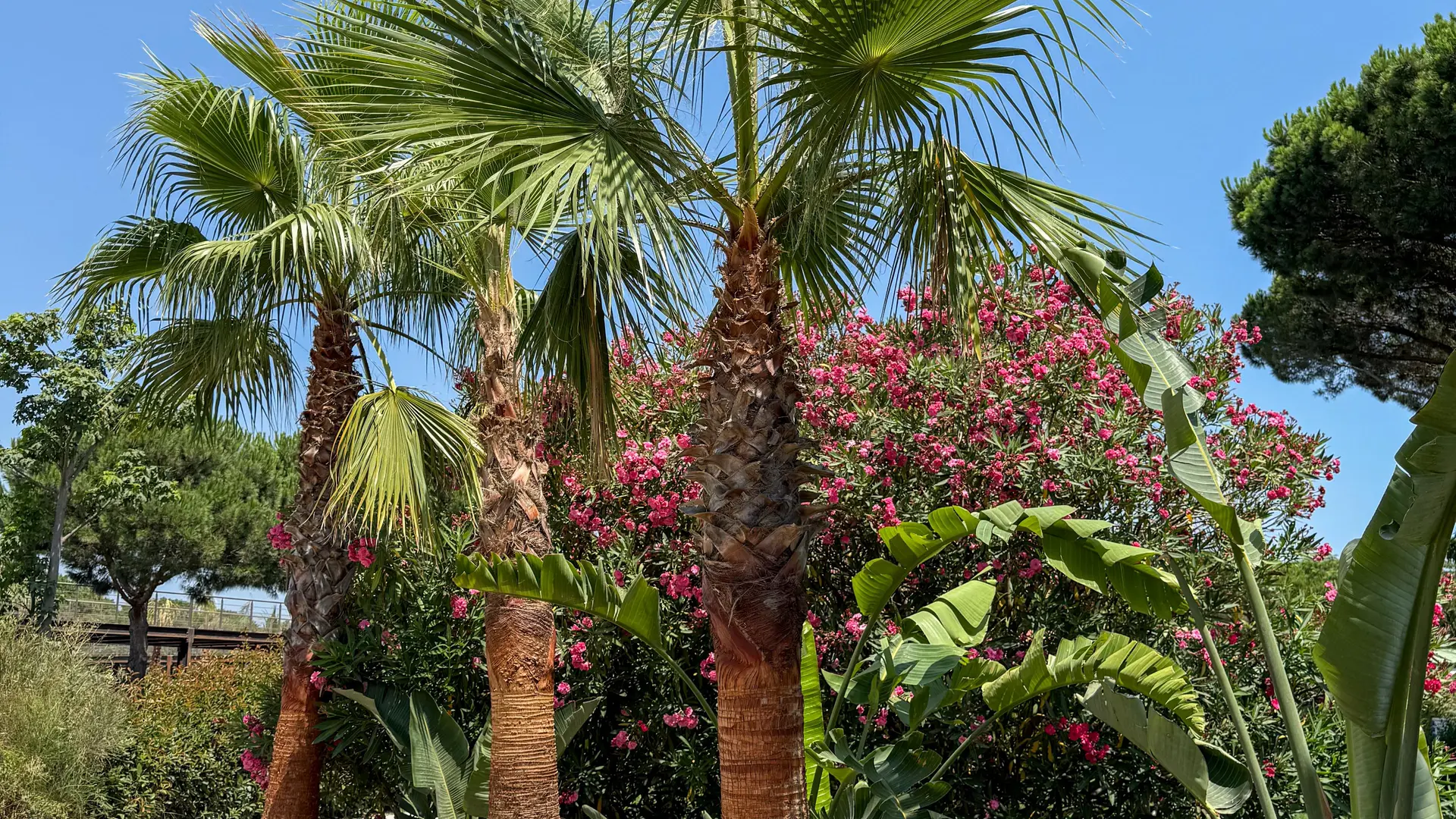 camping pas delfang 12