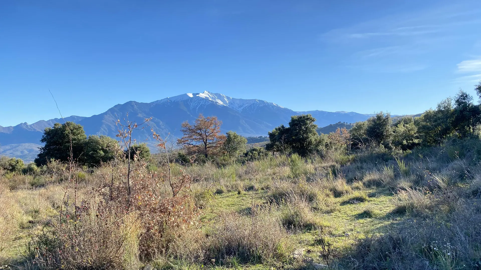 canigo-depuis-chapelle-fornolls