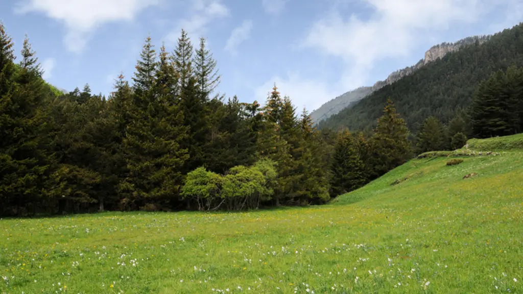 capcir_vallee_du_galbe_paysage