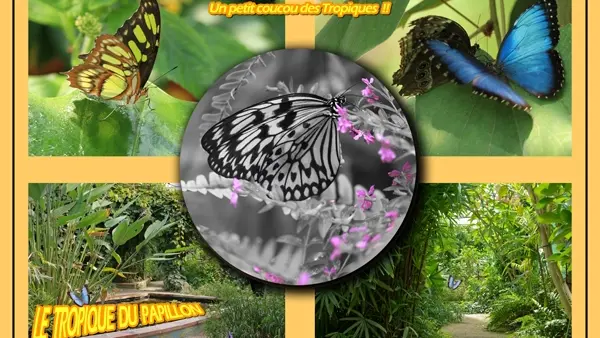 animation été famille