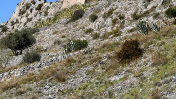 Ermitage ND de Pène Cases-de-Pène