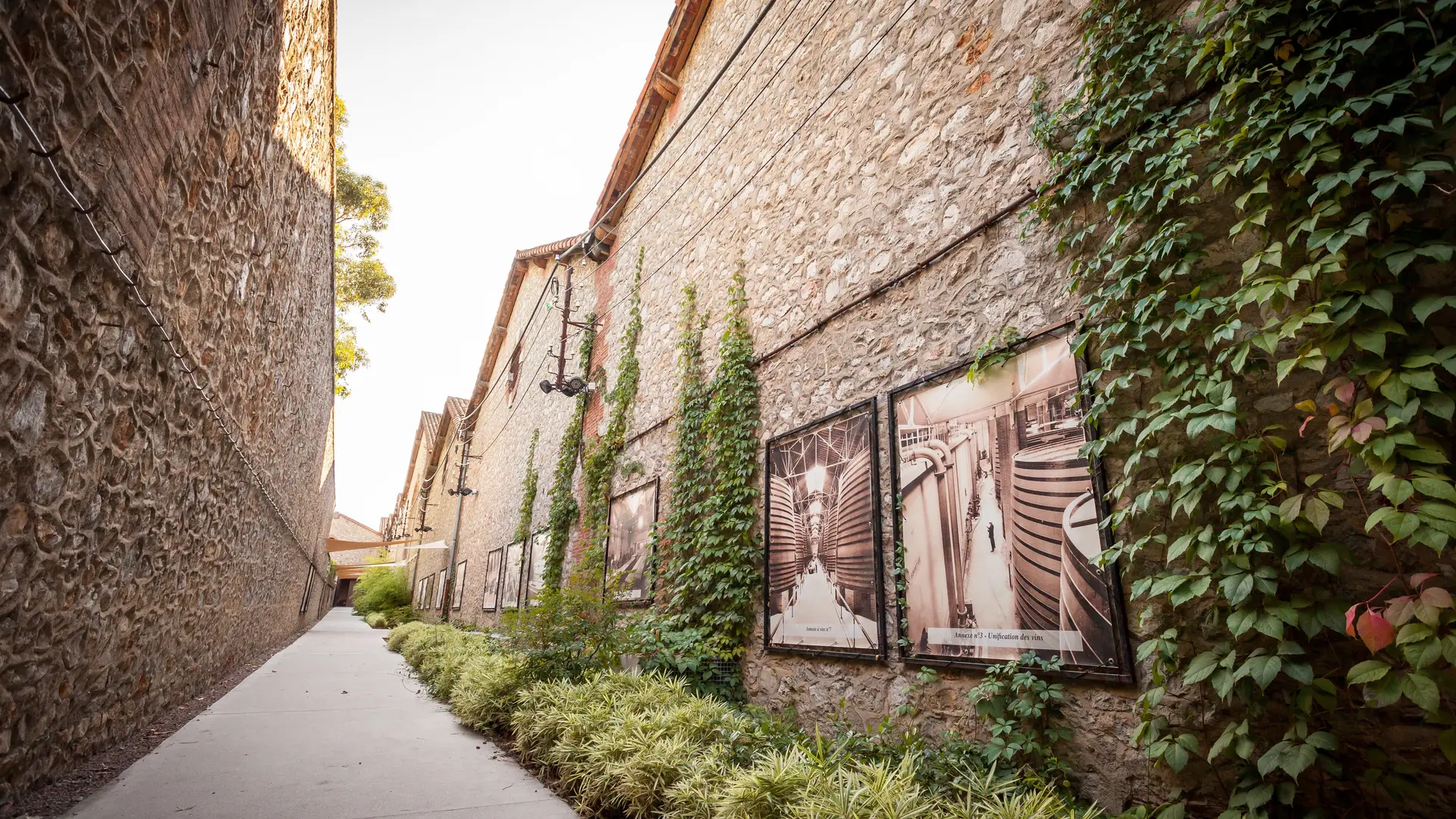 Aspres Thuir Caves BYRRH