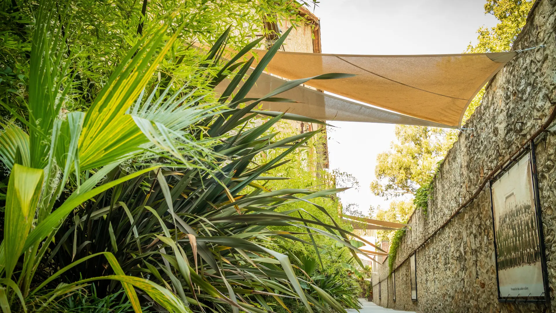 Aspres Thuir Caves BYRRH