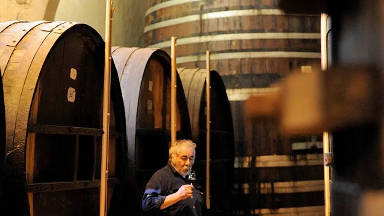 cellier-des-dominicains-4