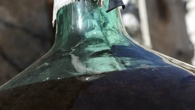 cellier-des-dominicains-5