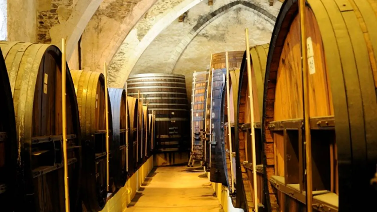 cellier-des-dominicains