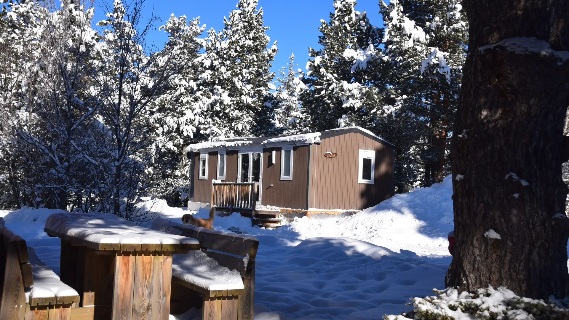 chalet à la location hiver (4)