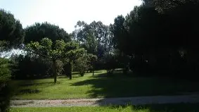 STE MARIE CAMPING CHARDONNERETS 1