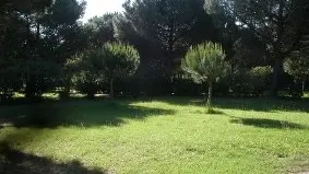 STE MARIE CAMPING CHARDONNERETS 2