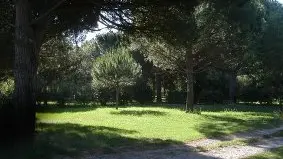 STE MARIE CAMPING CHARDONNERETS 3