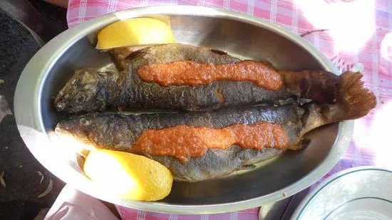 chez francois truite