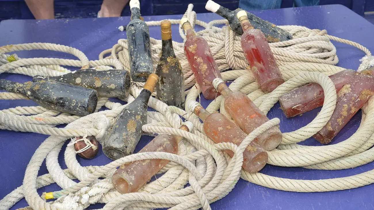 com bouteilles à la mer©bitCanet