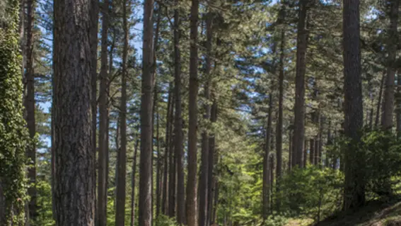 route vers col de l'ouillat