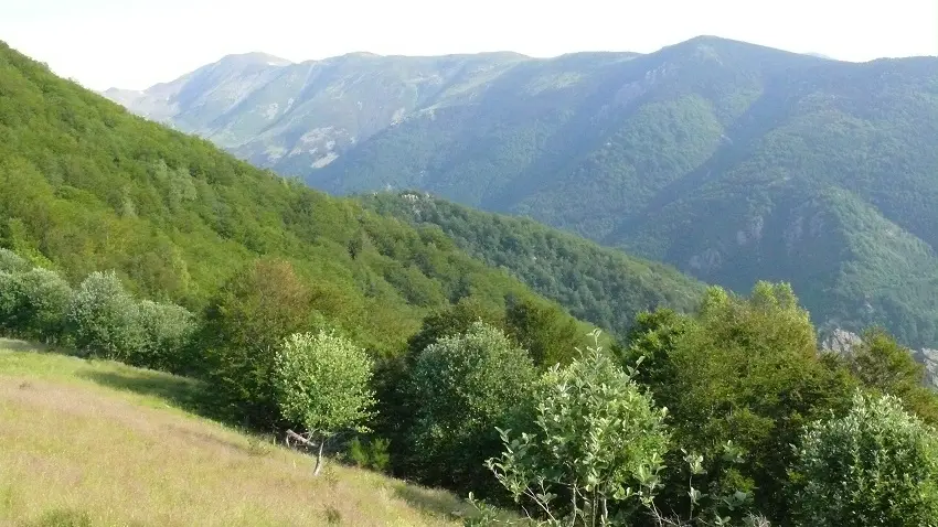 Vue sur la Comalada depuis le Coll d'en Cé_2