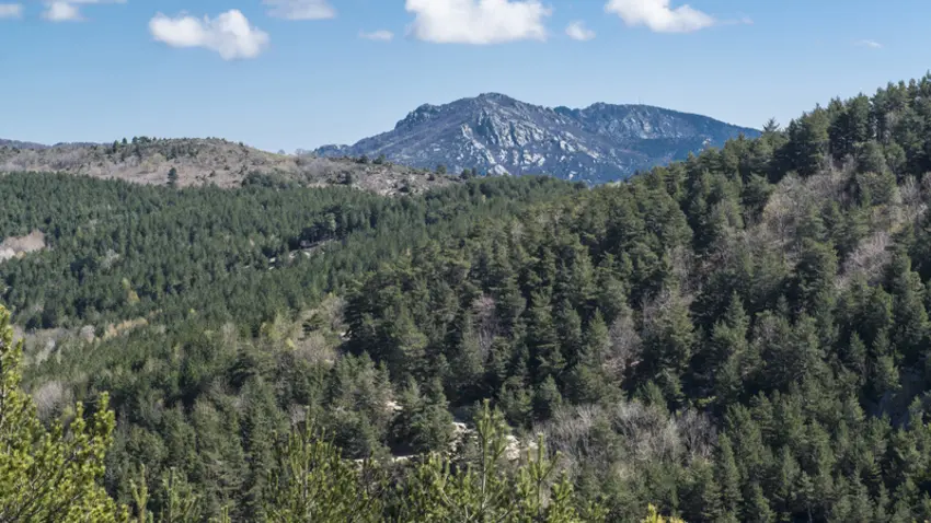 coustouges_paysage_50