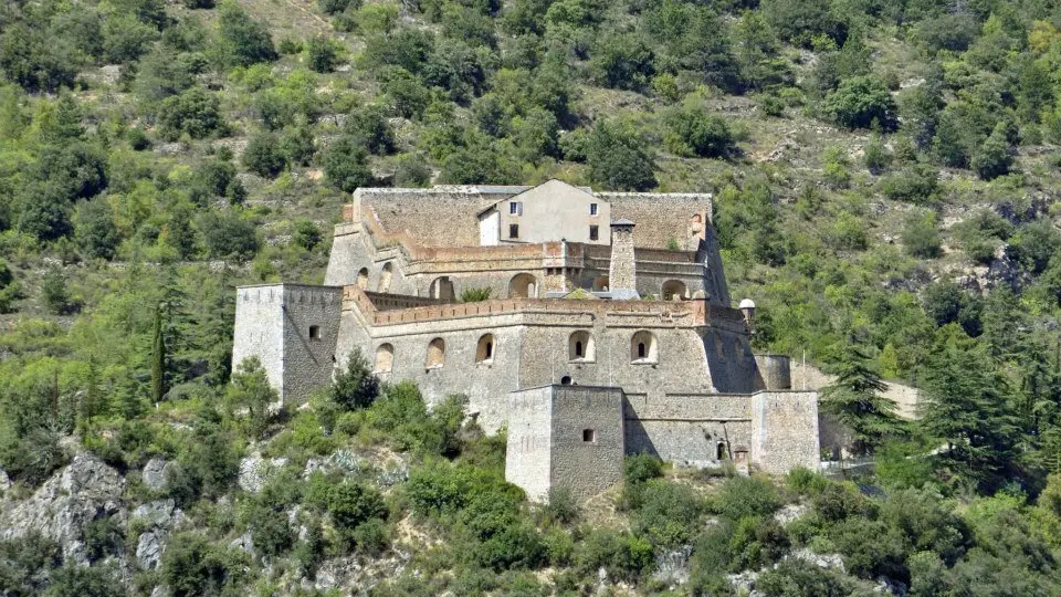 datPhoto3_547ed252afae9_N