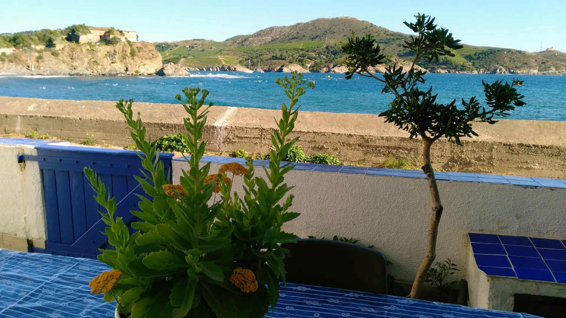 depuis la terrasse