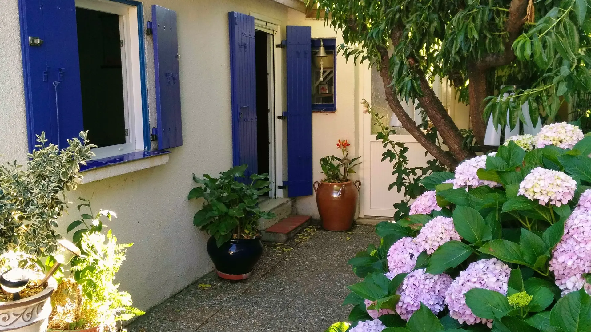 cour à l'arrière de la maison