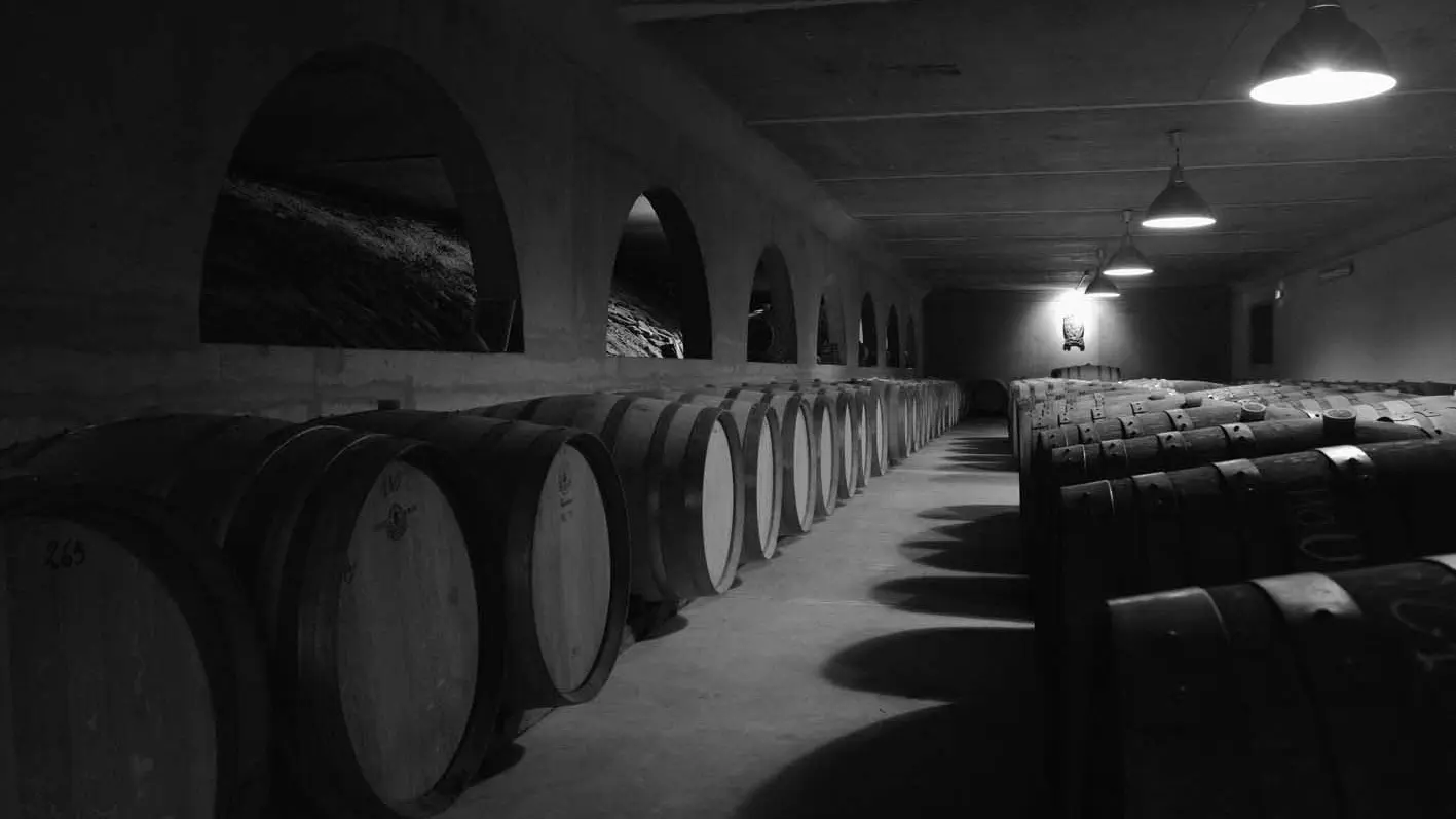 domaine_boucabeille-corneilla_la_riviere (13)