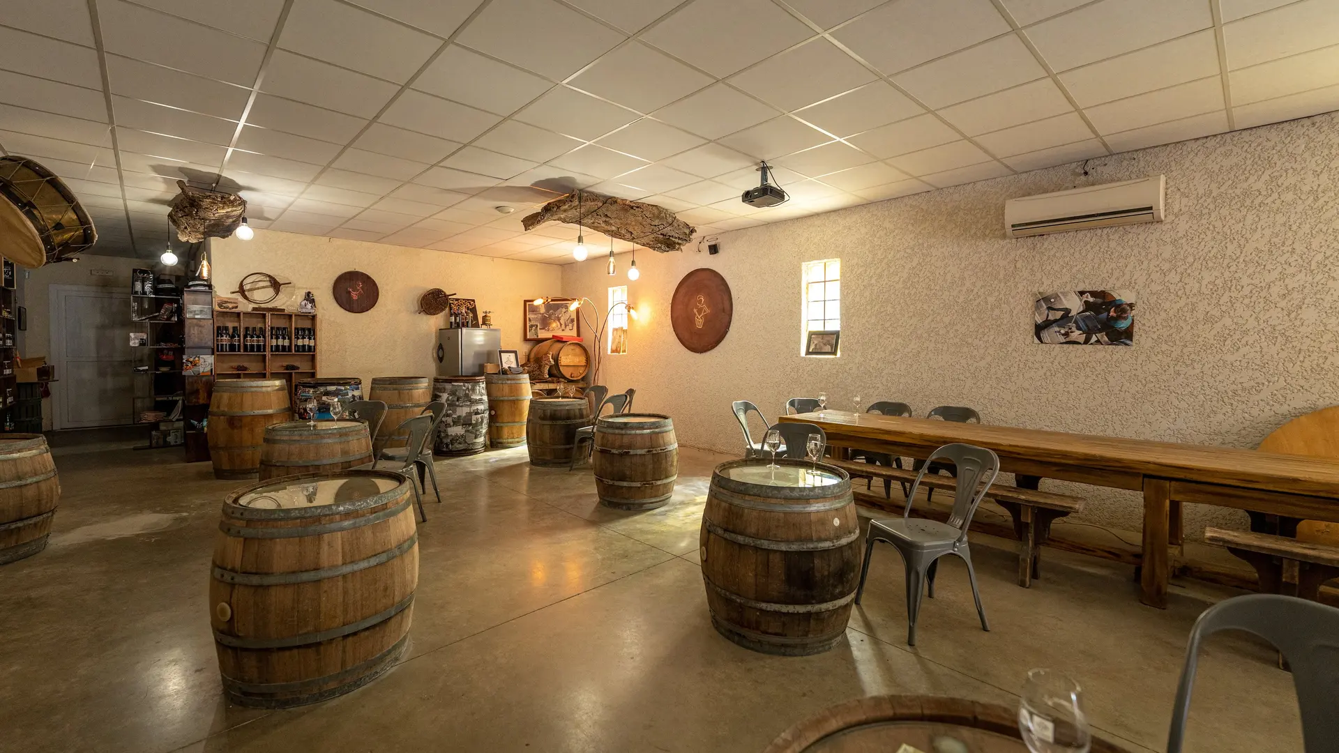 domaine-tambour-banyuls-2022-02750