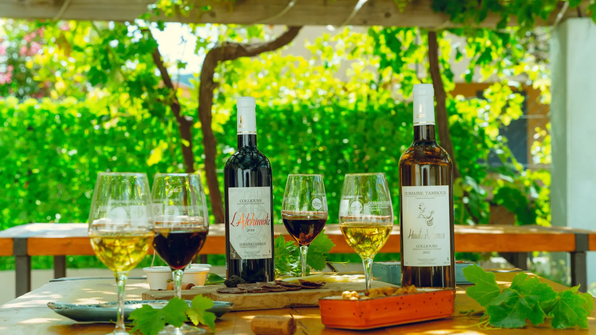 domaine-tambour-banyuls-2022-02768