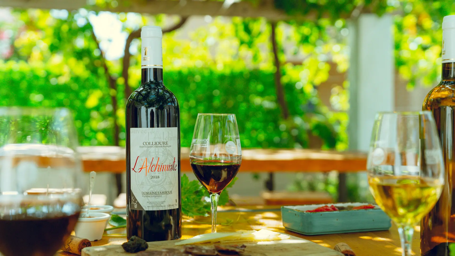 domaine-tambour-banyuls-2022-02763