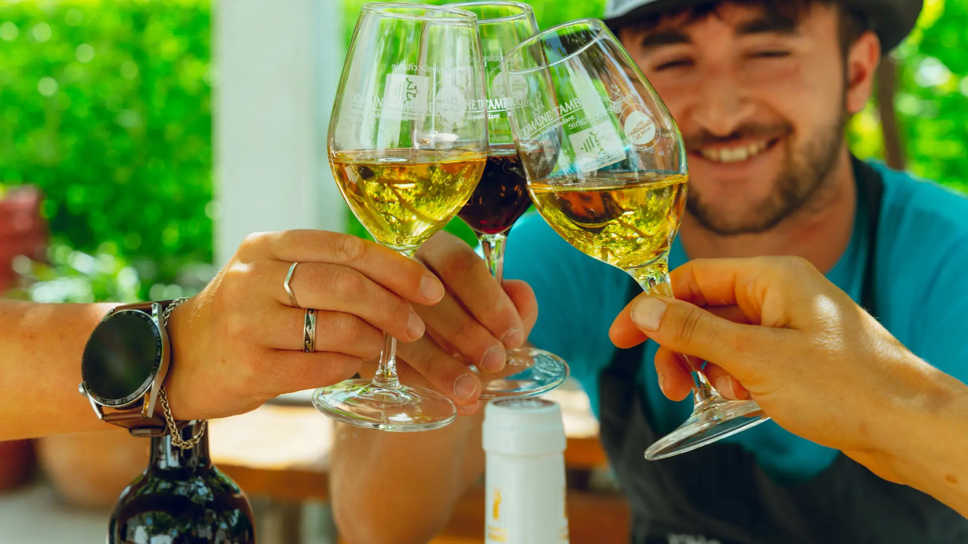 domaine-tambour-banyuls-2022-02777