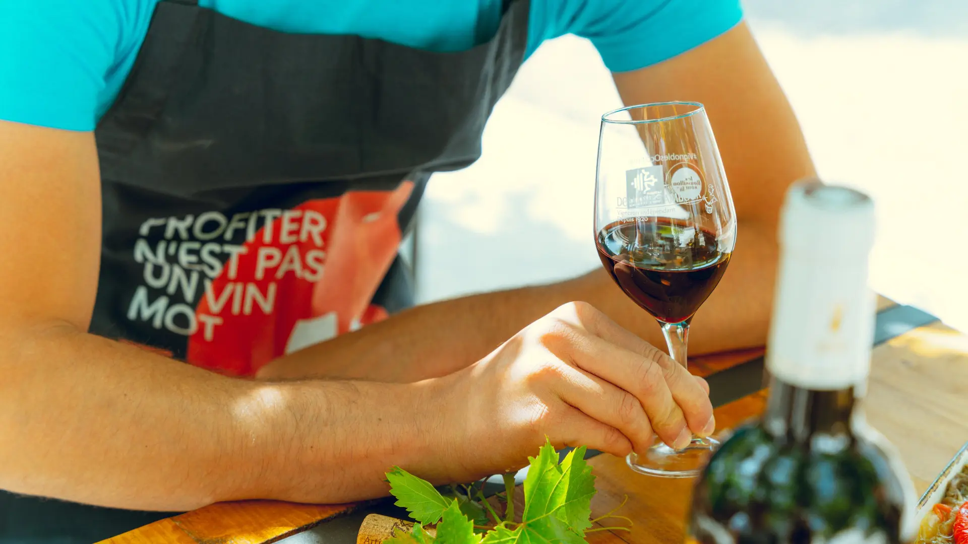 domaine-tambour-banyuls-2022-02772