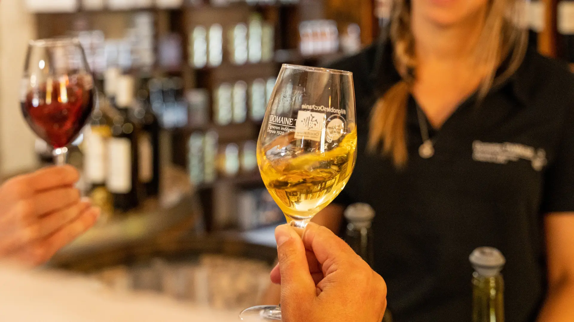 domaine-tambour-banyuls-2022-02794