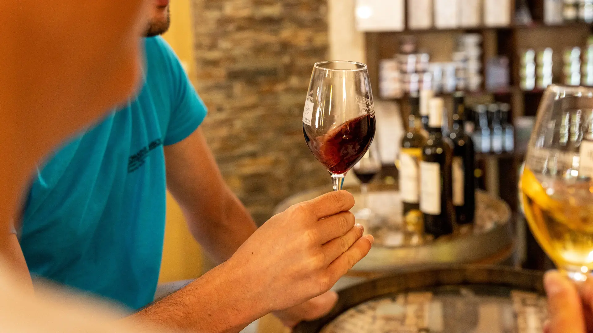 domaine-tambour-banyuls-2022-02796