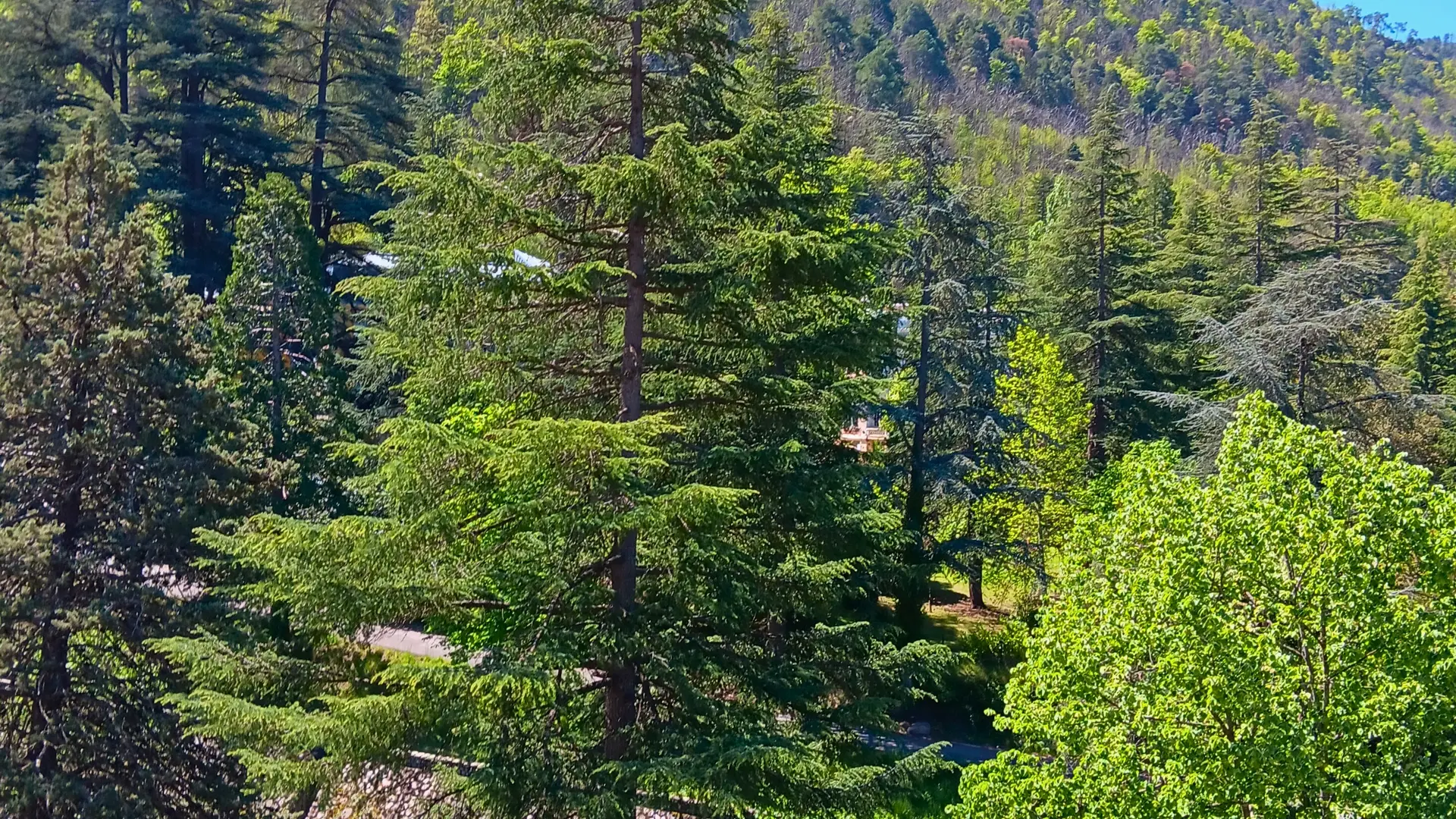 Vue depuis la loggia